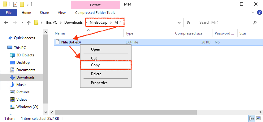 Copy NileBot.ex4 file