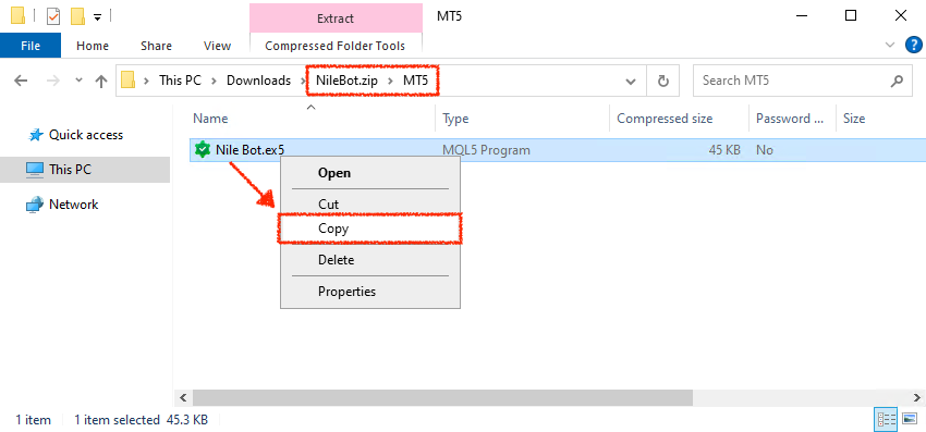 Copy NileBot.ex5 file