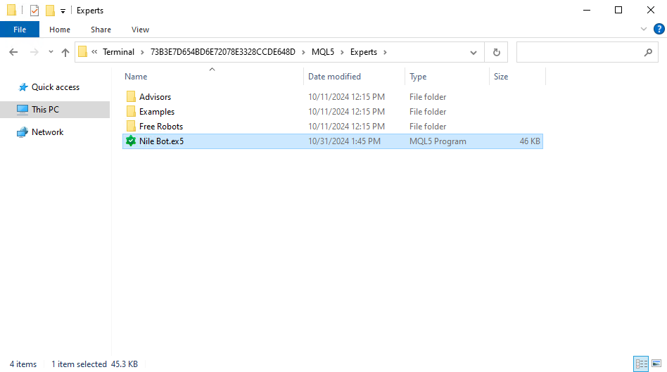 NileBot.ex5 file inside Experts folder